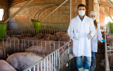 Portrait of adult veterinarians in facial masks