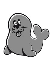 seal