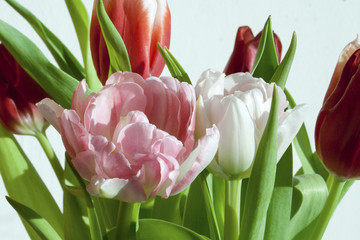 tulips bouquet with rose red and white flowers