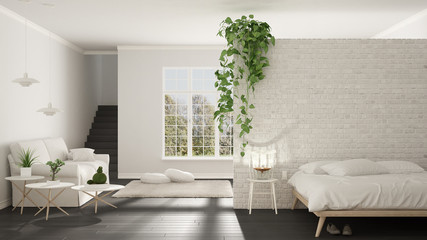 Scandinavian white and gray minimalist living with bedroom, open space, one room apartment, classic interior design