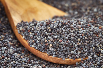 Close-up of dry poppy seeds with wooden spoon