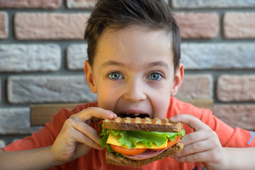 Little boy eats a huge sandwich.