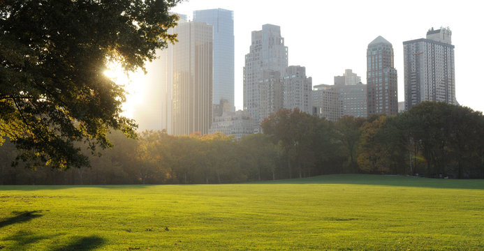Central Park Panorama at sunny day, New York