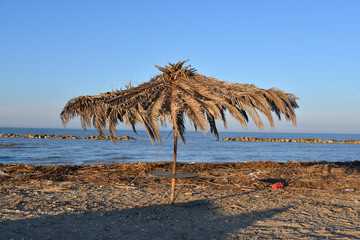 Fototapeta na wymiar xruined umbrella palm on the beach 