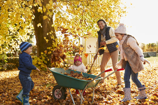 Children Helping Father To Collect Autumn Leaves In Garden