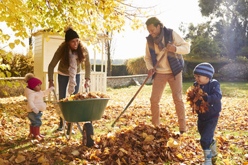 Children Helping Parents To Collect Autumn Leaves In Garden - obrazy, fototapety, plakaty