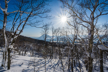 Fototapeta na wymiar Rising sun of Hokkaido
