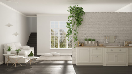 Scandinavian white and gray minimalist living with kitchen, open space, one room apartment, classic interior design