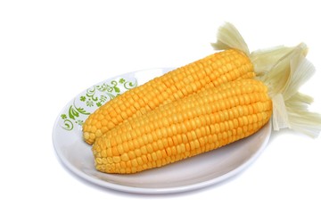 corn boiled closeup on a plate on white background
