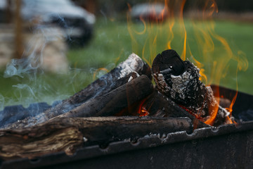 Picnic fireplace in summer with small flames and firewood