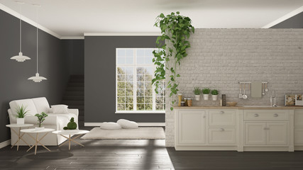 Scandinavian white and gray minimalist living with kitchen, open space, one room apartment, classic interior design