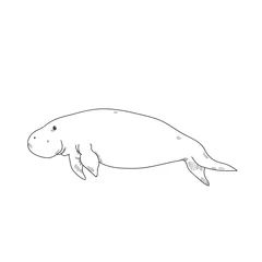 Foto auf Acrylglas Antireflex Aquatic Animals Dugong Drawing Illustration © Bluehousestudio