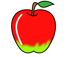 リンゴ(赤緑、ツヤ)