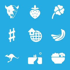 Set of 9 natural filled icons