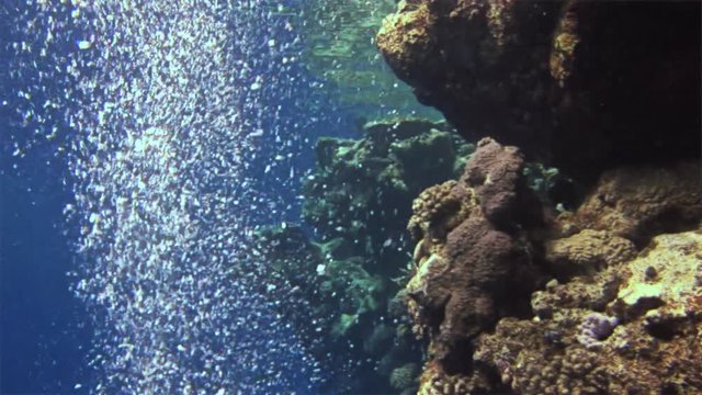 Underwater bubbles on an excellent background in Red Sea. Extreme sport in marine landscape, coral reefs, ocean inhabitants.