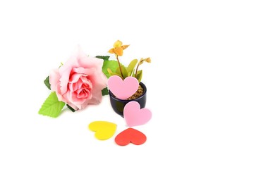 heart yellow and red with  rose pink on white background  valentine day concept