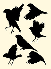 Zebra finch birds animal silhouette. Good use for symbol, logo, mascot, web icon, sign, or any design you want.