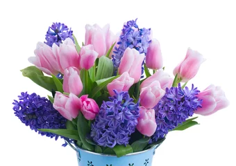 Muurstickers Hyacint Roze tulpen en blauwe hyacinten bloemen in metalen pot close-up geïsoleerd op witte achtergrond