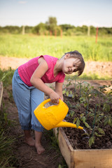 kid girl watering seedlings garden, kitchen garden