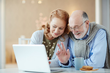 Portrait of beautiful elderly couple waving to laptop camera saying Hello video chatting with...