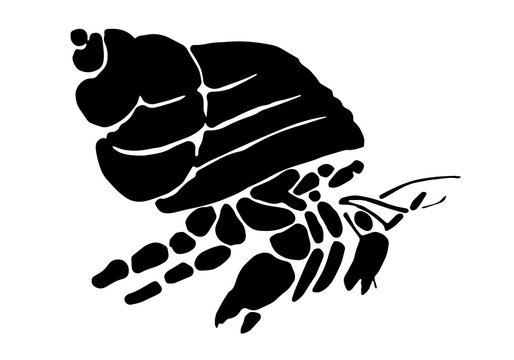 Graphic Hermit Crab, Vector