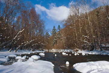 Forest river in early spring.