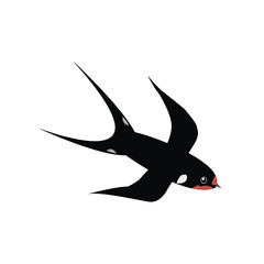 Swallow icon. Flat swallow vector illustration of icon for web