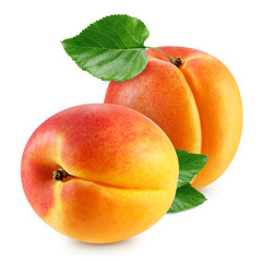 apricot fruits isolated