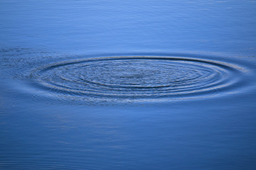 Fototapeta na wymiar Kreise im Wasser