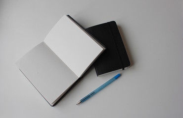 Notebooks and pen