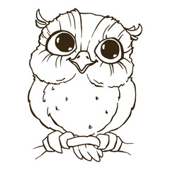 Cute owl. Line draw, hand-drawn contour on a white background