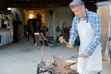 Farrier working on anvil