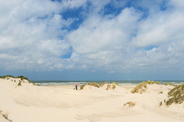 Man with dog at the beach