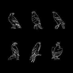 Hand-drawn pencil graphics. Birds of prey set.