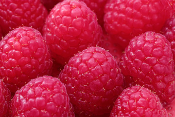 viele Himbeeren, nahaufnahme