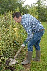Gardener digging border