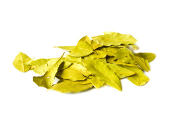Spices dried bay leaves isolated on white background.