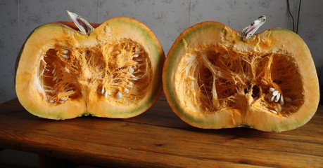 Two Huge cutten pumpkin, big garden vegetable isolated