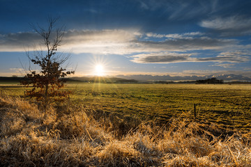 Autumn or spring rural meadow with sun.