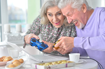 Elderly couple with a laptop