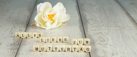Liebe Grüße zum Muttertag, Buchstabenwürfel auf hölzernem Hintergrund mit cremefarbener Blüte dahinter, Panorama, Banner,