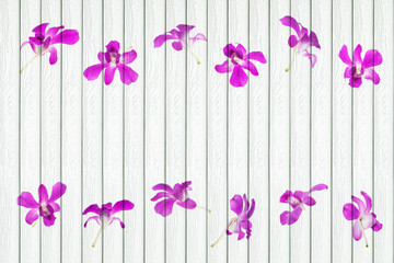 white wood background with orchid decoration