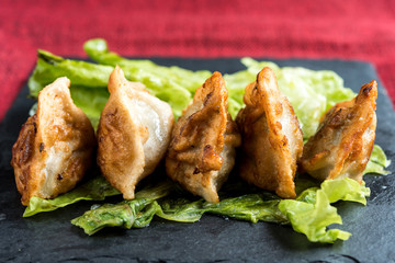 Chinese food Fried dumplings on plate