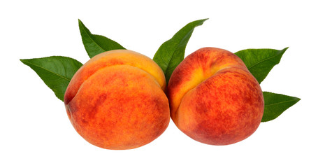 Two ripe juicy peach with green leaves