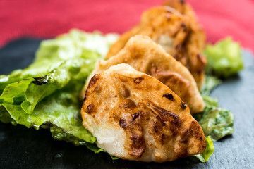 Chinese food Fried dumplings on plate