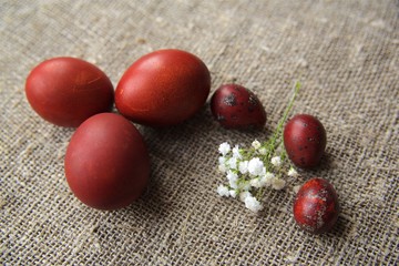 Easter eggs on a beautiful background.