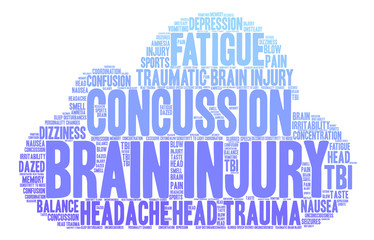 Obraz premium Brain Injury Word Cloud on a white background. 