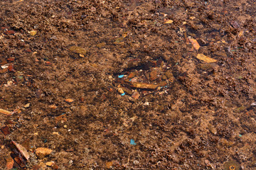Construction debris on the seabed
