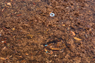 Construction debris on the seabed