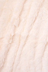 Shaggy fur texture